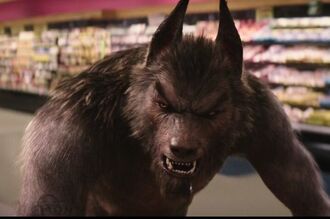 Emmet Reese as Werewolf