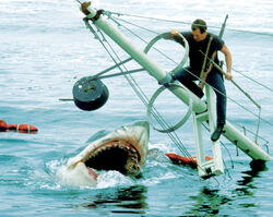 Jaws-Brody.jpg