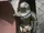 Sontaran