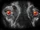 Phantom Black Dogs