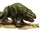 Dewbacks