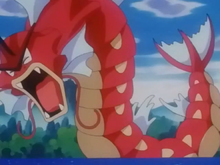 Pokemon Gyarados 489