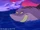 Undertow