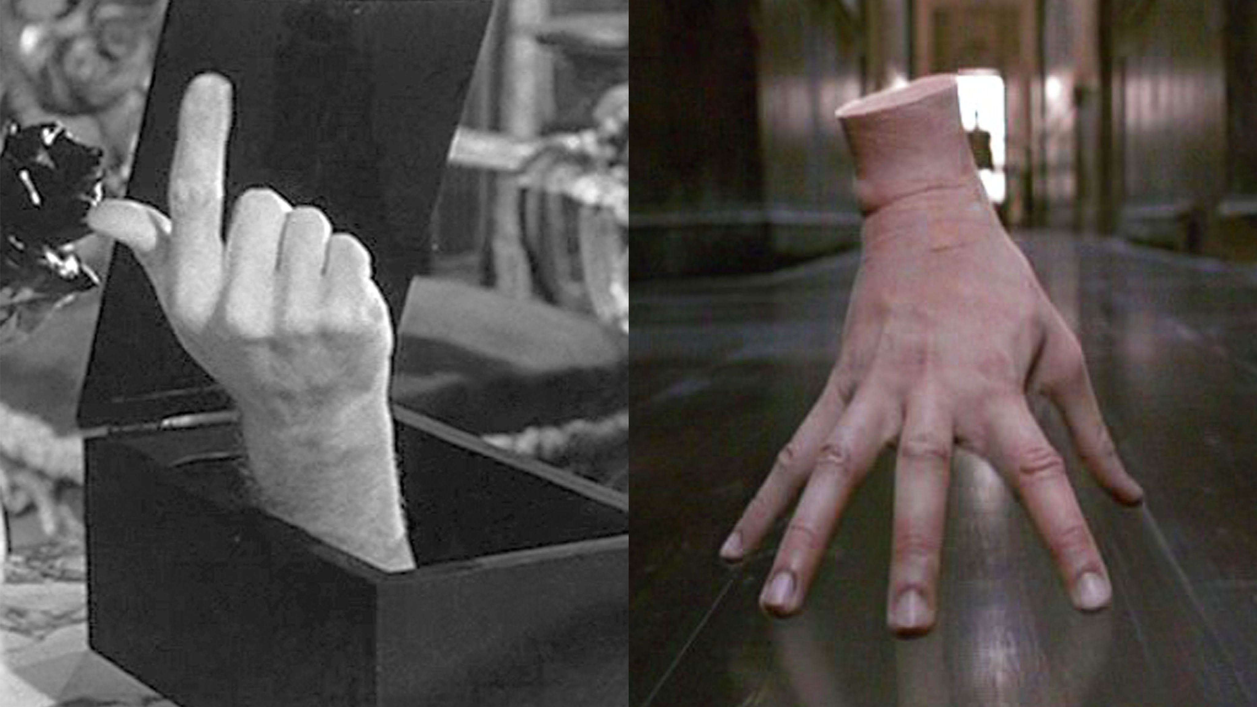 Thing hand from the Addams Family