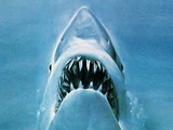 Bruce (Jaws)