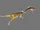 Coelophysis (Carnivores)