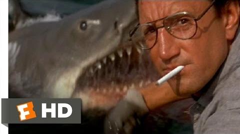 You're Gonna Need a Bigger Boat - Jaws (4 10) Movie CLIP (1975) HD