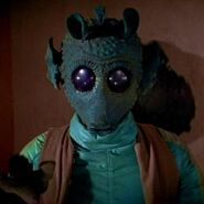 Greedo