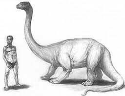 Mokele-mbembe - Wikipedia