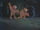 Owlmen