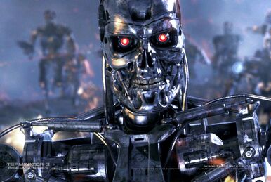The Terminator (character), RoboWiki