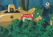 Gobi, Mew, Zuums.jpg (143 KB) Gobi, Mew und Zuum beobachten Shogun