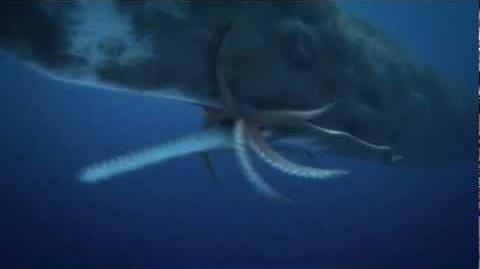 Giant Squid vs. Sperm Whale