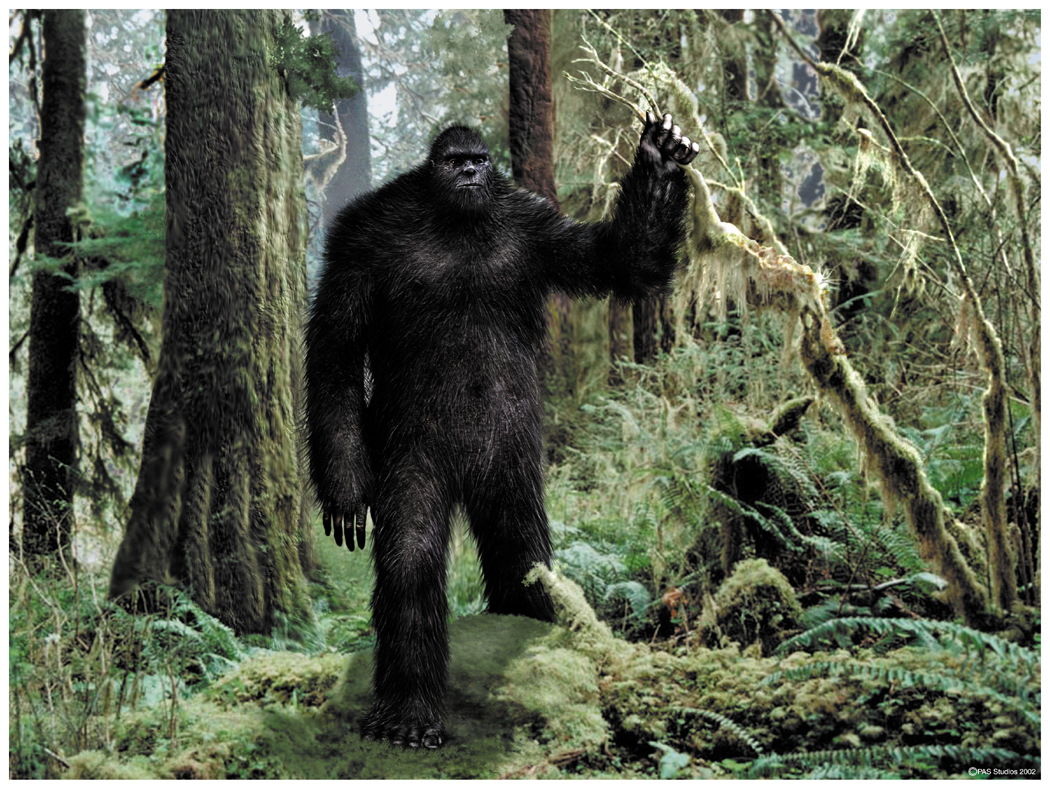 Category:Bigfoot - Wikimedia Commons