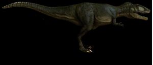 Carcharodontasaurus.jpg