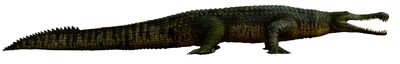 Sarchosuchus.jpg