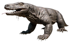 Megalania.png