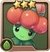 Seedler Wood