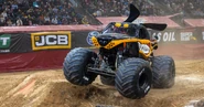 Berto Treviño's Monster Mutt Rottweiler, circa 2024.