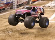 Scarlet Bandit, circa 2007-2008.