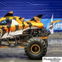 tiger shark hot wheels monster truck