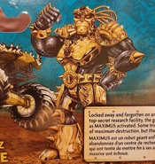 20200721 105135.jpg (7.61 MB) Max-D Maximus Gold.