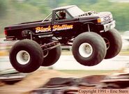 Black Stallion, circa 1991-1995.