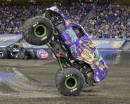 Purple Jester, circa 2019.