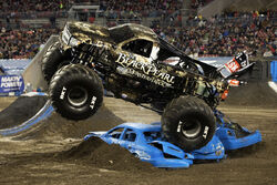 Monster jam black pearl toy shop