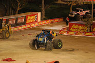Black Stallion after its World Finals 9 freestyle performance.