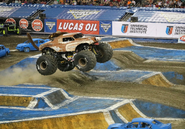 Competing in Tampa.
