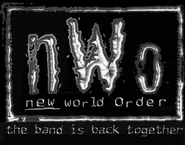 nWo logo.
