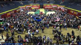 Pit Party 1