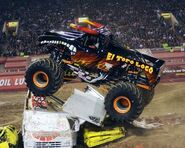 Black El Toro Loco, circa 2013.