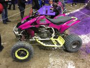 Pretty Wicked ATV