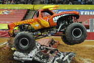 Werner's El Toro Loco 2010