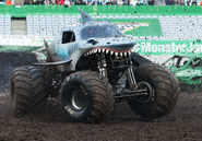 Megalodon at Sydney 2018.