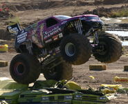 Scarlet Bandit, circa 2004-2005.