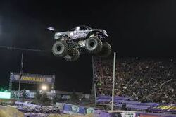 Max d big air shop