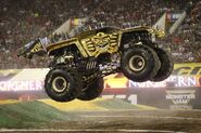 Max-D 6's gold scheme