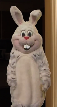Kaninjaveln.png