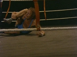 Fliegender zirkus2.8