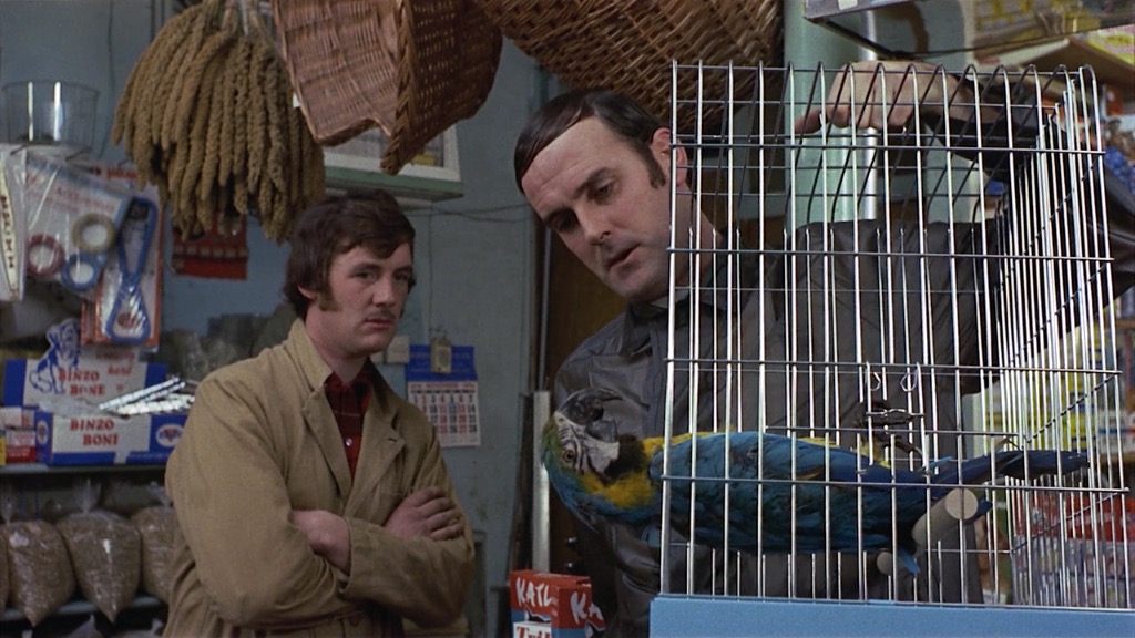 Monty Python Dead Parrot Sketch GIFs  Tenor