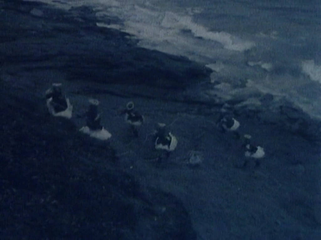 Film Trailer Monty Python Wiki Fandom