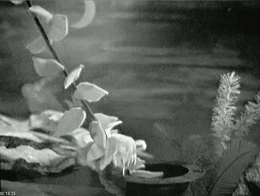 Die muminfamilie 10.jpg (162 KB) A vine grows from the Hat