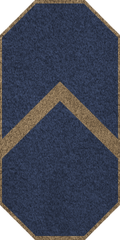 GAN Petty Officer.png
