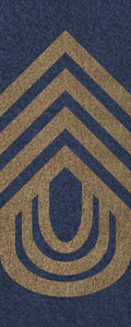SWA Army Sergeant Major.png