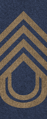SWA Chief Sergeant Major.png