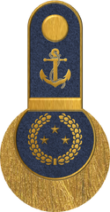 GAN Vice Admiral.png