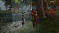 WoWScrnShot 070417 210114.jpg